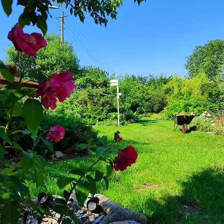 Farm stay Piotrogrodek Swidwin